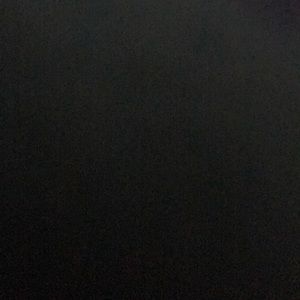 Meet your Posher, Leonishere